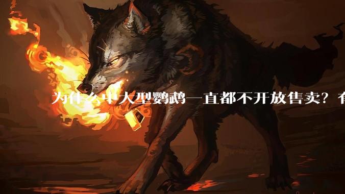 为什么中大型鹦鹉一直都不开放售卖？有哪些原因呢?