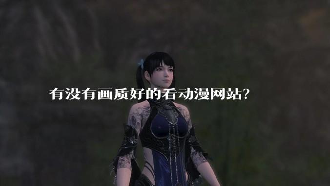 有没有画质好的看动漫网站？