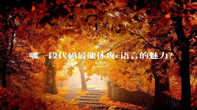 哪一段代码最能体现c语言的魅力?