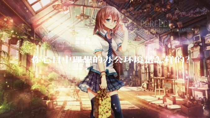 你心目中理想的办公环境是怎样的？