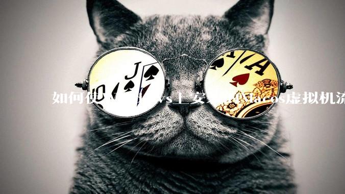 如何使Windows上安装的Macos虚拟机流畅运行?